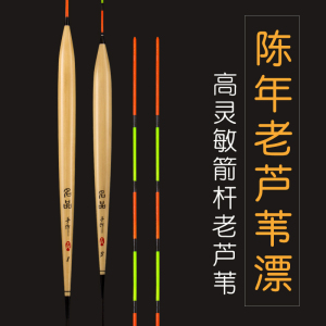 名品芦苇浮漂加粗浮标鲤鱼草鱼