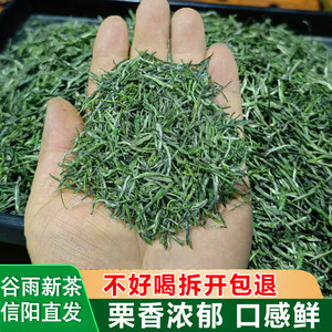 绿茶信阳毛尖浓醇栗香