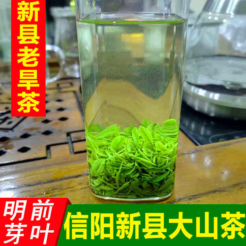 2026新茶新县信阳毛尖芽叶250g