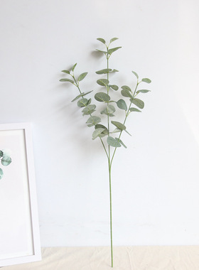尤加利INS北欧金钱叶仿真花厂家家居装饰婚庆植物墙假花MW34551