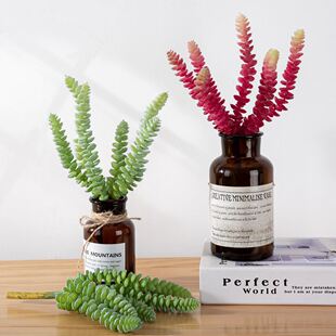 厂家6头铜钱串植物假花欧式仿真花微景观多肉仿真绿植MW17662