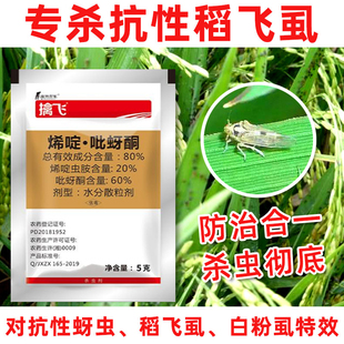 农药烯啶吡蚜呀酮果树花卉蔬菜蓟马蚜虫稻飞虱白粉虱杀虫剂专用药