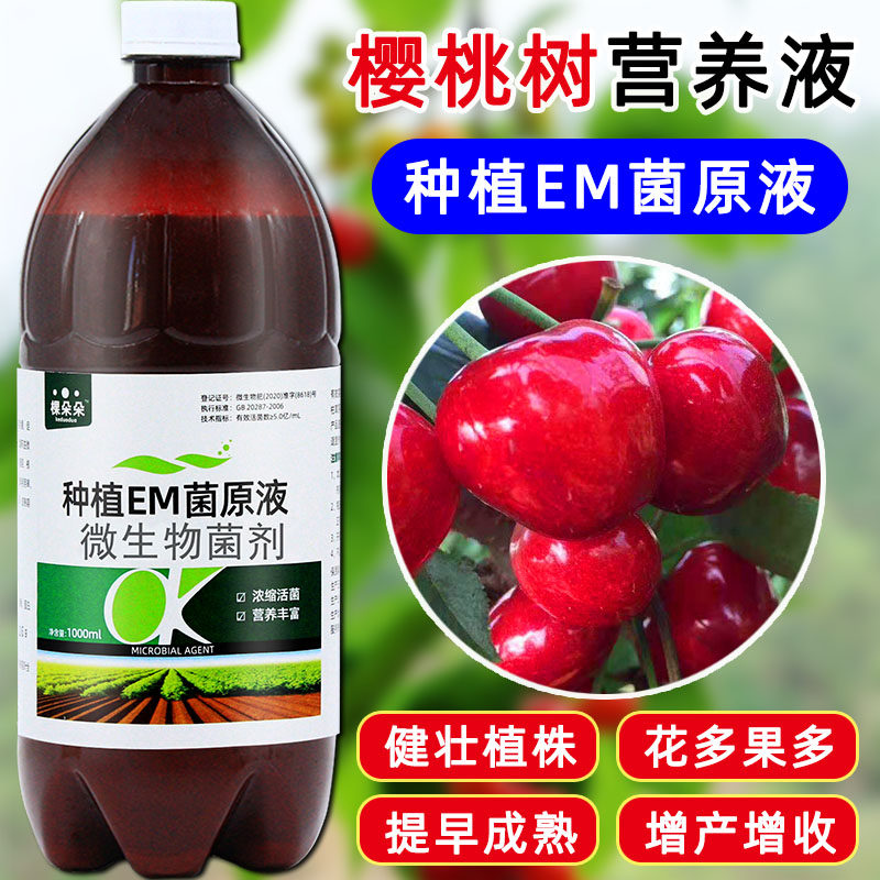 樱桃树专用肥料em菌种植增产增收