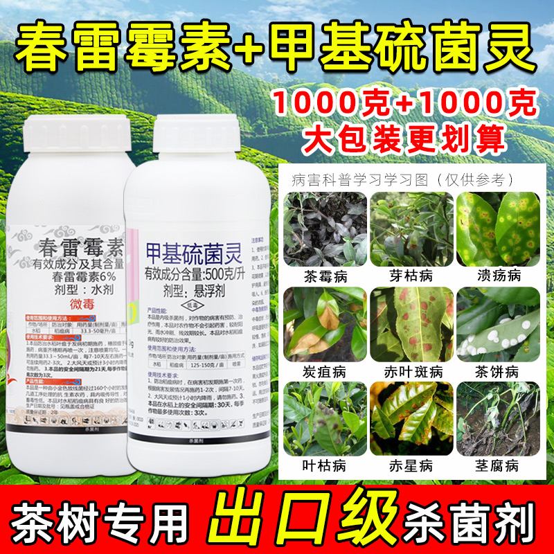 茶树专用细菌性杀菌剂甲基硫菌灵茎腐病叶斑病黑斑病炭疽病杀菌剂