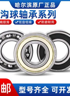 哈尔滨高速电机轴承6013 6014 6015 6016 6017 6018 P5 ZZ 2RZ