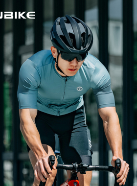 INBIKE骑行服短袖春夏季男士2024新款透气排汗公路山地自行车上衣