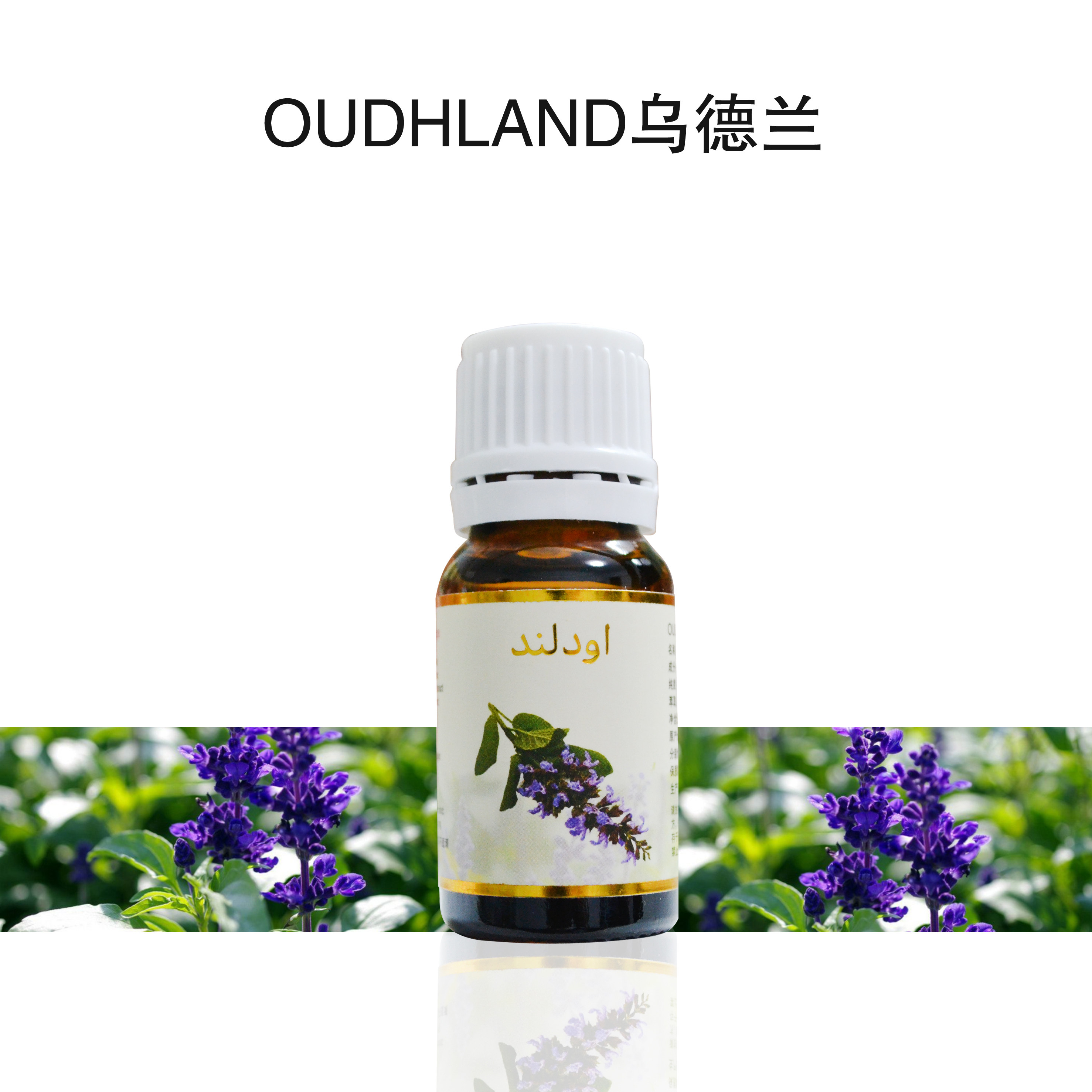 伊朗快乐鼠尾草精油单方香紫苏油缓解偏头痛控油舒缓焦虑闭口