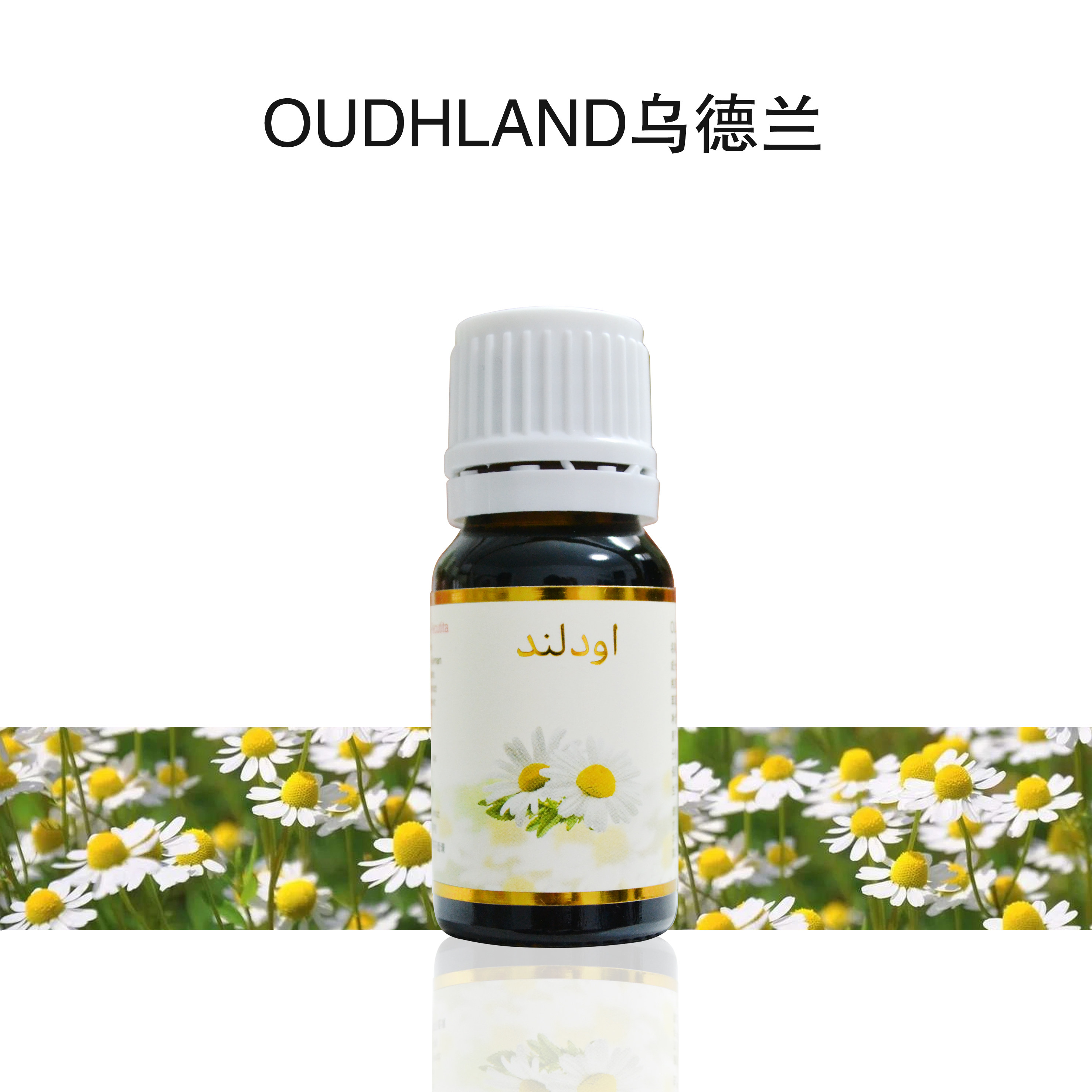 伊朗ZB德国洋甘菊精油单方10ml面部抗敏去红血丝修复敏感抗菌身体,美容护肤/美体/精油,单方精油,淘宝优惠券,粉丝福利购,淘宝优惠卷