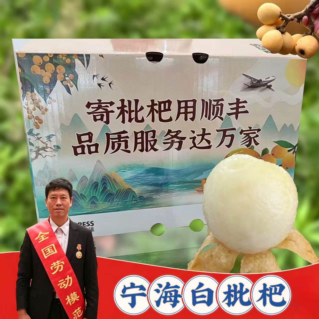 宁海白枇杷80个5斤装当季新鲜水果白沙白玉中果琵琶礼盒装