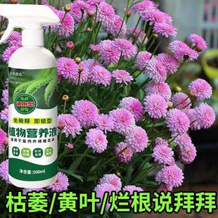 适合各种花的营养液营养液菊花肥盆栽花期植物专用专用肥黄叶开花