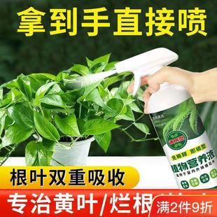 适合各种花的营养液绿萝营养液专用肥料家用绿植物盆栽室内花卉通