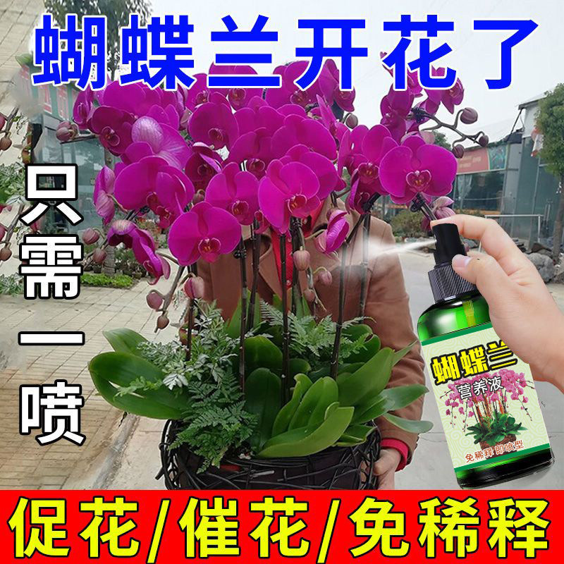 蝴蝶兰专用肥料促开花适合各种花的酸性植物叶面喷施营养液免稀释