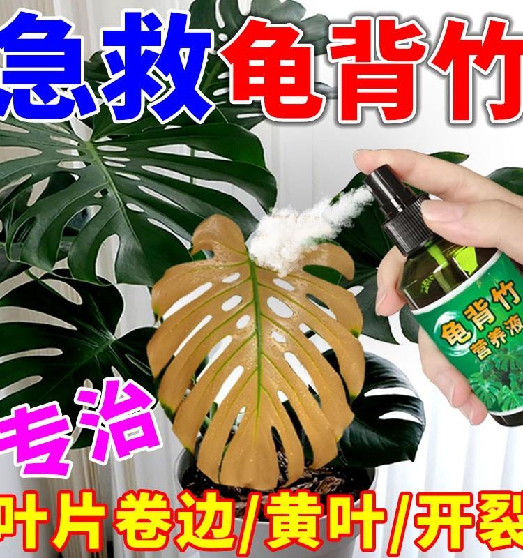 龟背竹专用肥室内水培植物肥料急救发黄卷叶焦尖锈斑通用营养液