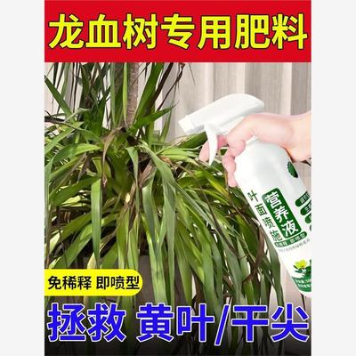 龙血树龙须树专用肥料防黄叶干尖盆栽专用营养液室内绿植养花花肥