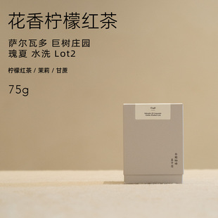 柠檬红茶 C146 萨尔瓦多 巨树庄园 瑰夏水洗 Lot2 白鲸咖啡