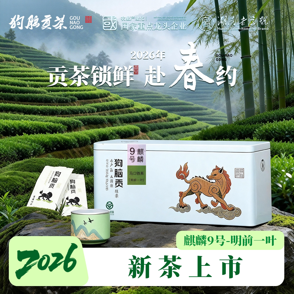 湖南特产狗脑贡明前新茶茶叶礼盒