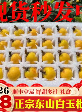 正宗东山白玉枇杷白沙枇杷甜礼盒
