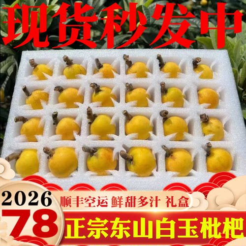 正宗东山白玉枇杷白沙枇杷甜礼盒