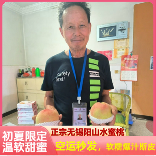正宗无锡阳山水蜜桃6两8个大软桃甜日川白凤桃湖景桃毛桃端午礼盒