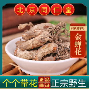 同仁堂金蝉花中药材金蝉花正宗大别山金蝉花 知了花虫草花金蚕花