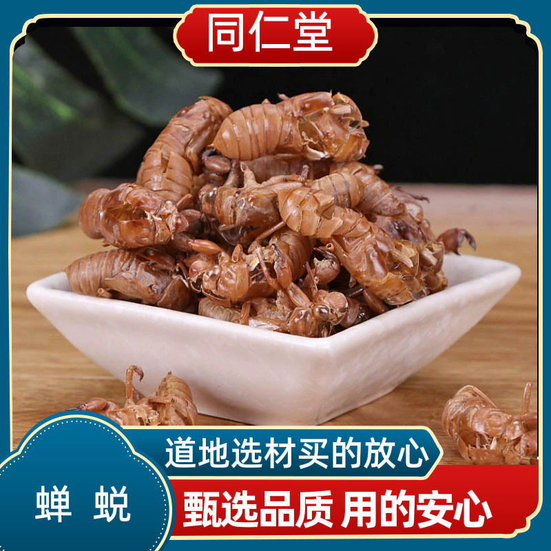 同仁堂中药材蝉蜕知了皮蝉衣蝉壳虫蜕虫退爬了猴壳金蝉衣水洗整个