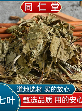 同仁堂中药材三七叶子精选新货云南文山三七干叶子三七叶田七叶子