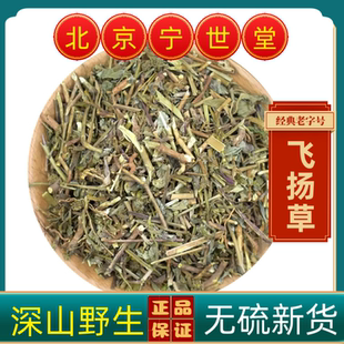 飞扬草中药材飞扬草野生大飞扬草乳籽草相草大飞扬节节花大乳汁草