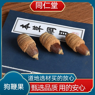 同仁堂中药材狗鞭果云南腾冲肾经果冲天炮 顶天柱 顶天雄泡酒泡水