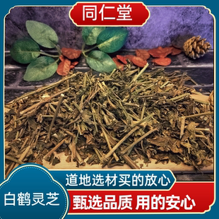 同仁堂中药材白鹤灵芝 癣草 仙草 白鹤灵芝草新货上市正品包邮
