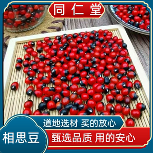 同仁堂中药材相思豆孔雀豆红豆相思豆散珠相思子美人豆鸳鸯豆红漆
