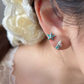 薄荷曼波色海星海螺耳钉女无耳洞耳夹夏天小众设计轻奢潮耳环耳饰