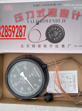 北京精密燕宁仪表wtz-280压力式5米120度锅炉蒸汽高温指针测温仪