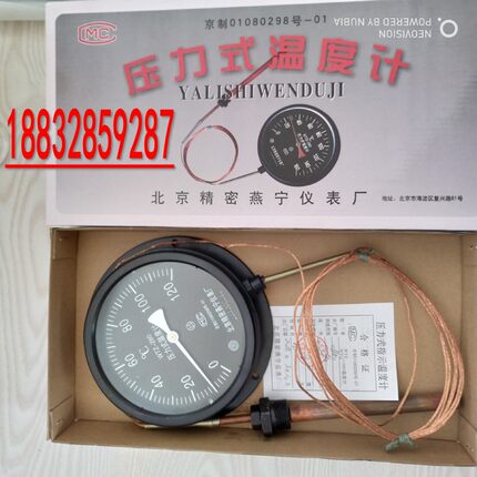 北京精密燕宁仪表wtz-280压力式5米120度锅炉蒸汽高温指针测温仪
