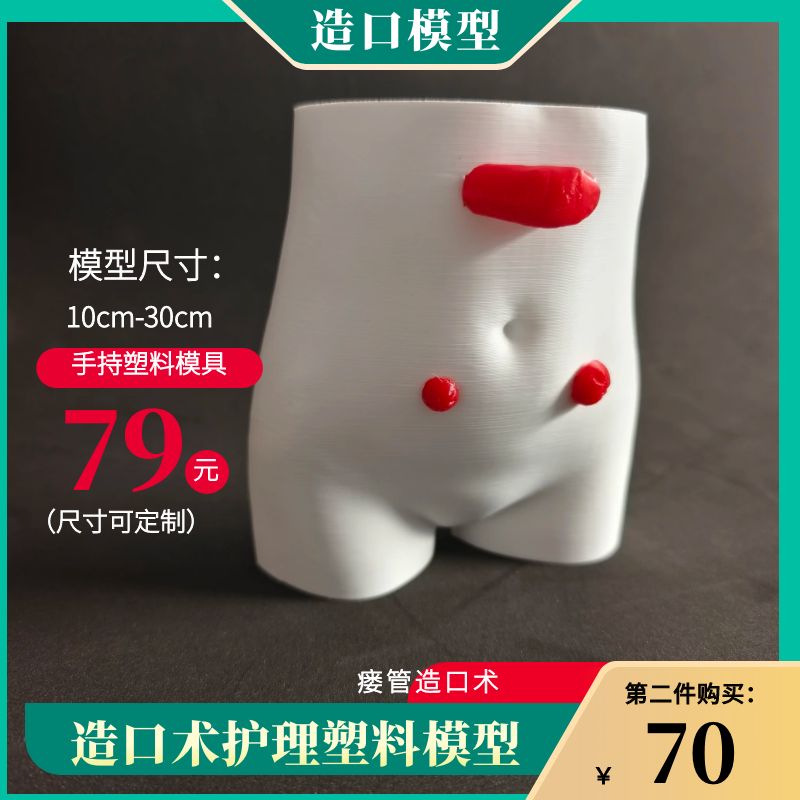 造口模型手持模型定制