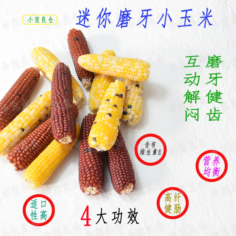 包邮仓鼠磨牙零食迷你彩色金丝熊