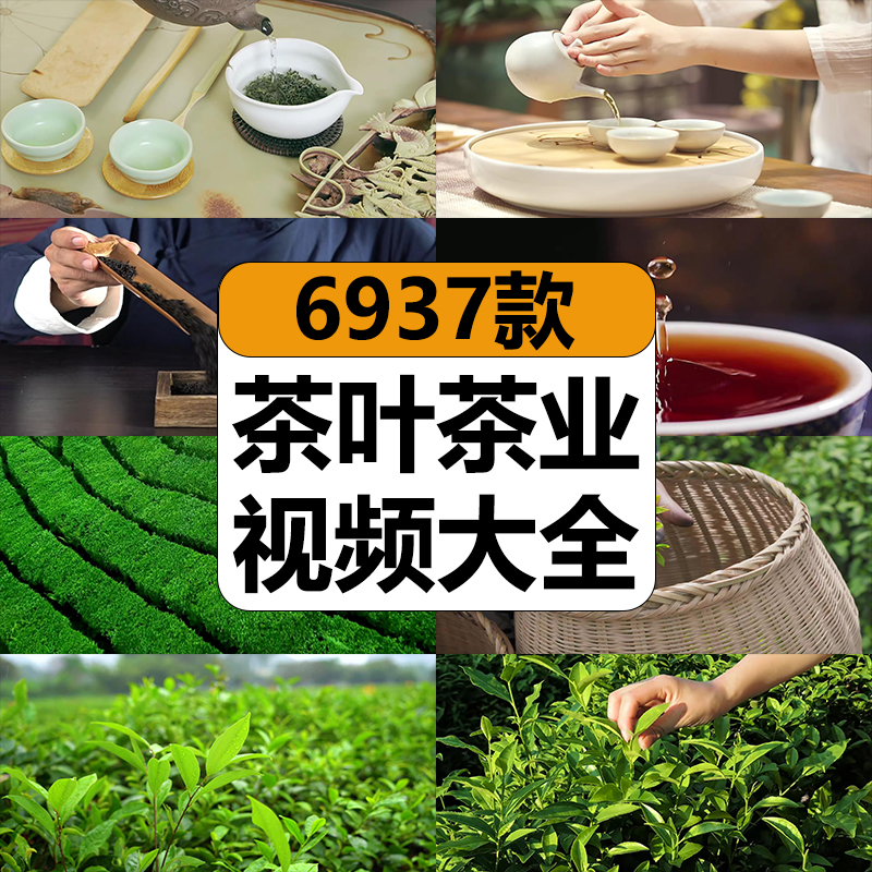 茶叶茶业短视频素材茶道图片文案脚本抖音直播话术茶园文化泡倒茶