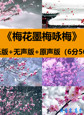梅花墨梅咏梅中华经典朗诵读小学组演出晚会舞台LED背景视频素材