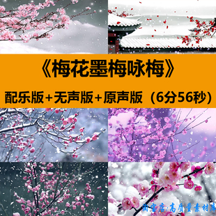 梅花墨梅咏梅中华经典朗诵读小学组演出晚会舞台LED背景视频素材