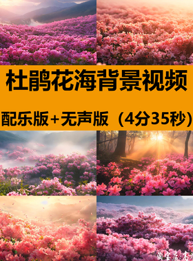 4K高清杜鹃花海花朵盛开放春暖花开舞台LED大屏幕背景视频VJ素材
