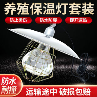 畜牧养殖专用保温灯育雏小鸡仔猪保暖灯罩防水防爆产床调温加热灯