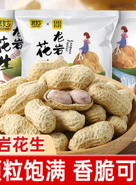 龙岩花生蒜香味五香味水煮花生米带壳炒货特产熟零食休闲小吃食品