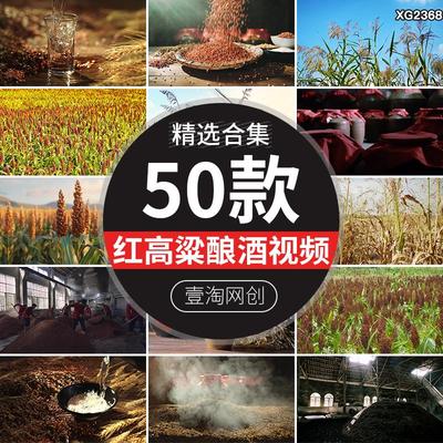 红高粱地种植农作物粮食成熟酒窖发酵酿酒白酒高清短视频剪辑素材