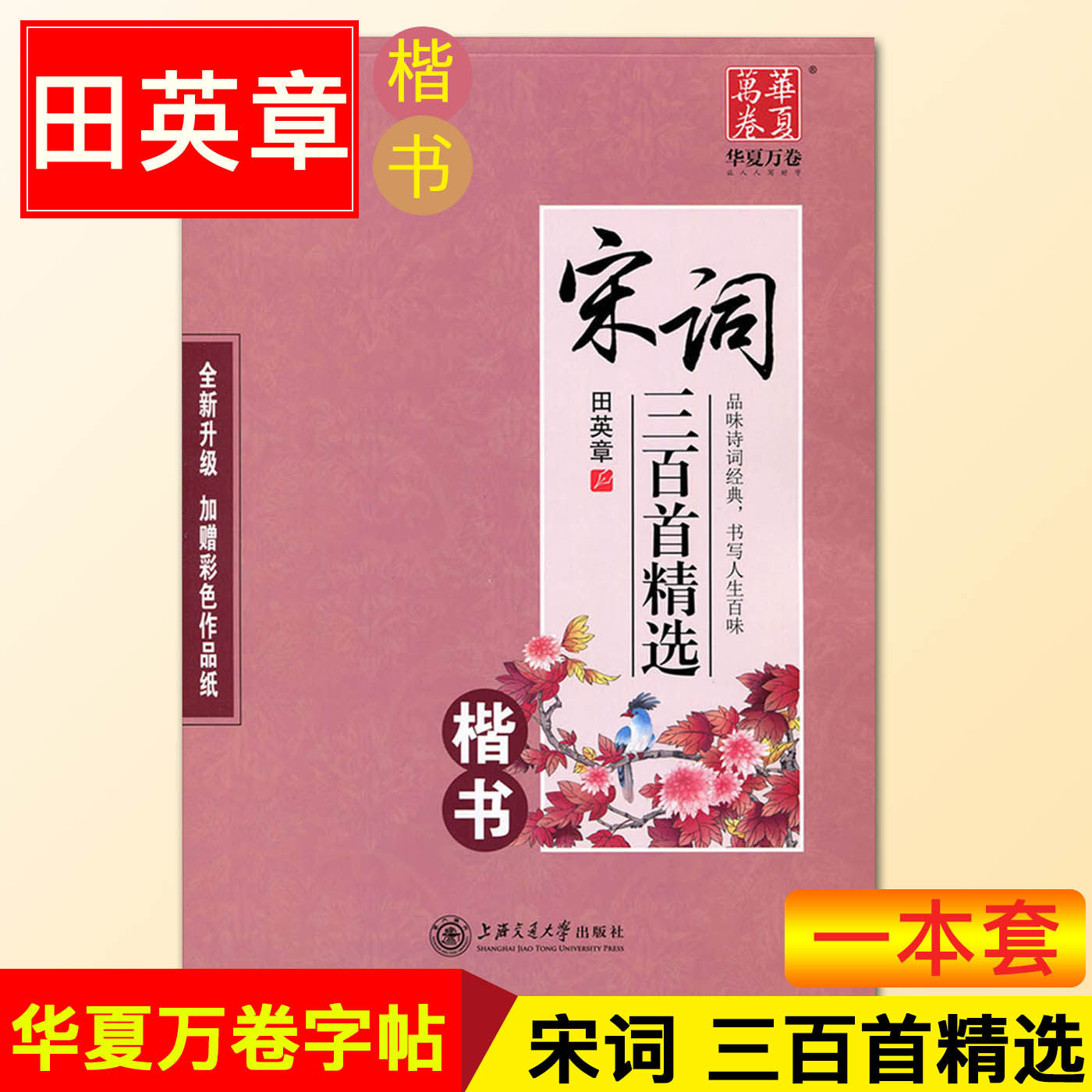 田英章书宋词三百首精选楷书 华夏万卷硬笔书法楷书成人钢笔蒙纸临摹
