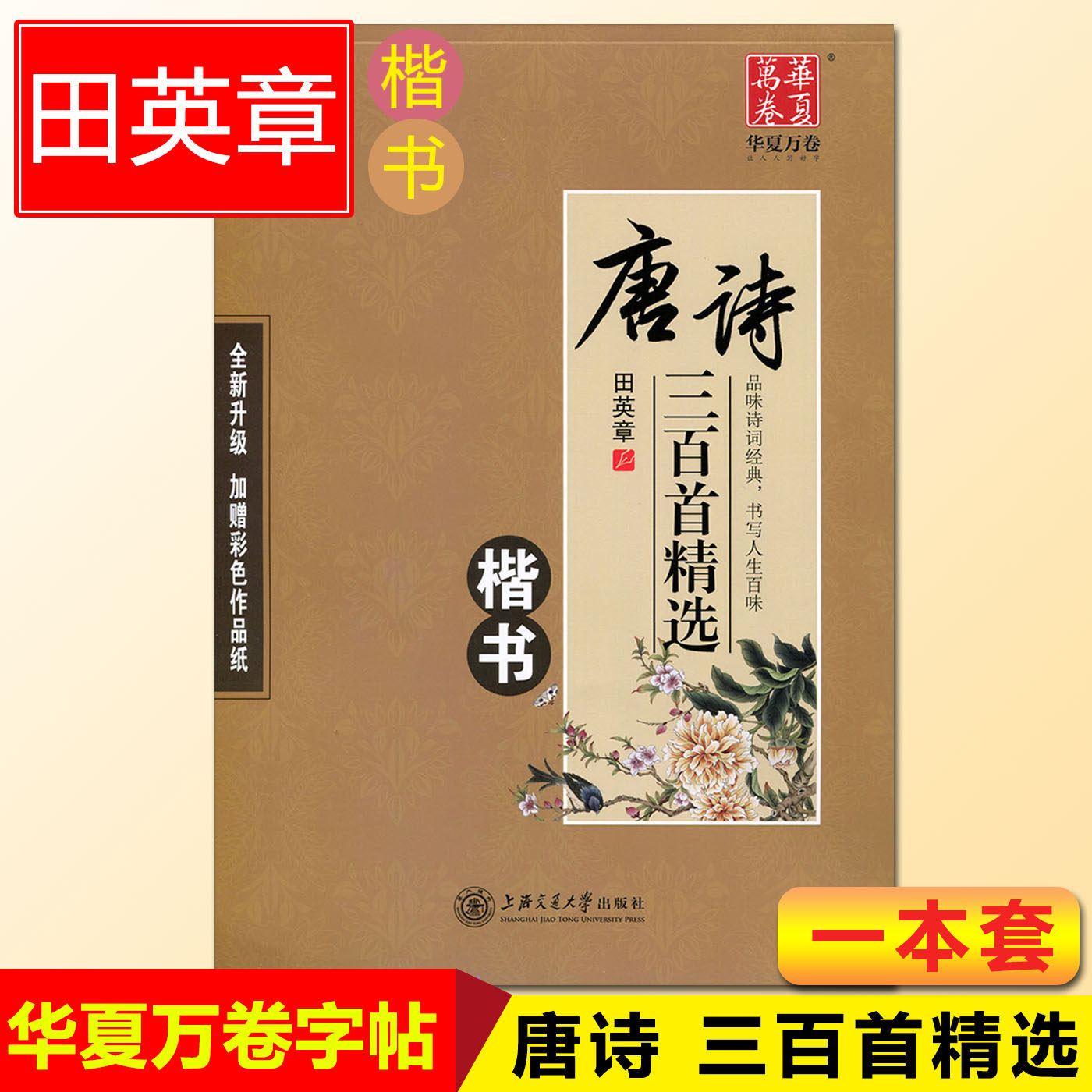 唐诗三百首精选古诗钢笔字帖 华夏万卷硬笔书法楷书成人钢笔蒙纸临摹练字贴 唐诗三百首字帖楷书 田英章书古诗词字帖