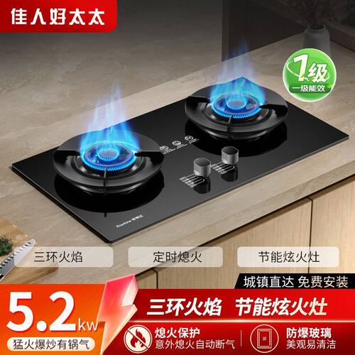 佳人好太太燃气灶双灶煤气灶煤气灶液化气家用天然气台式猛火炉具