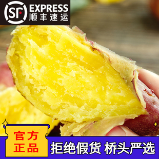 正宗海南澄迈富硒桥头地瓜新鲜农家辅食板栗红薯现挖番薯顺丰礼盒