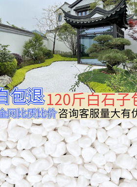 白色鹅卵石铺地小石头园林花盆铺面石庭院白石头铺路造景白石子