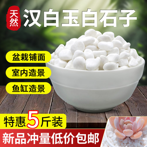 花园装饰盆栽白色鹅卵石白石子