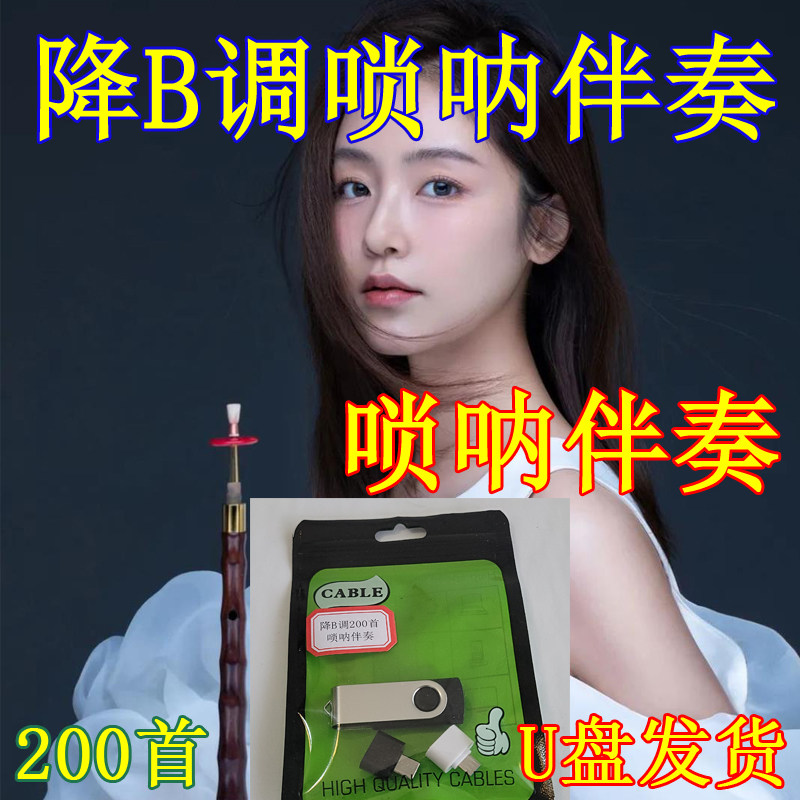 唢呐降B调伴奏音乐MP3伴奏唢呐DJ伴奏歌曲伴奏唢呐歌曲伴奏U盘