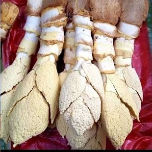 云南德宏农家特产新鲜棕包米粽包米棕笋棕树花带壳现摘发货包邮